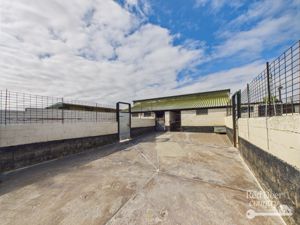 Kennels- click for photo gallery